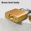 Brass Padlock