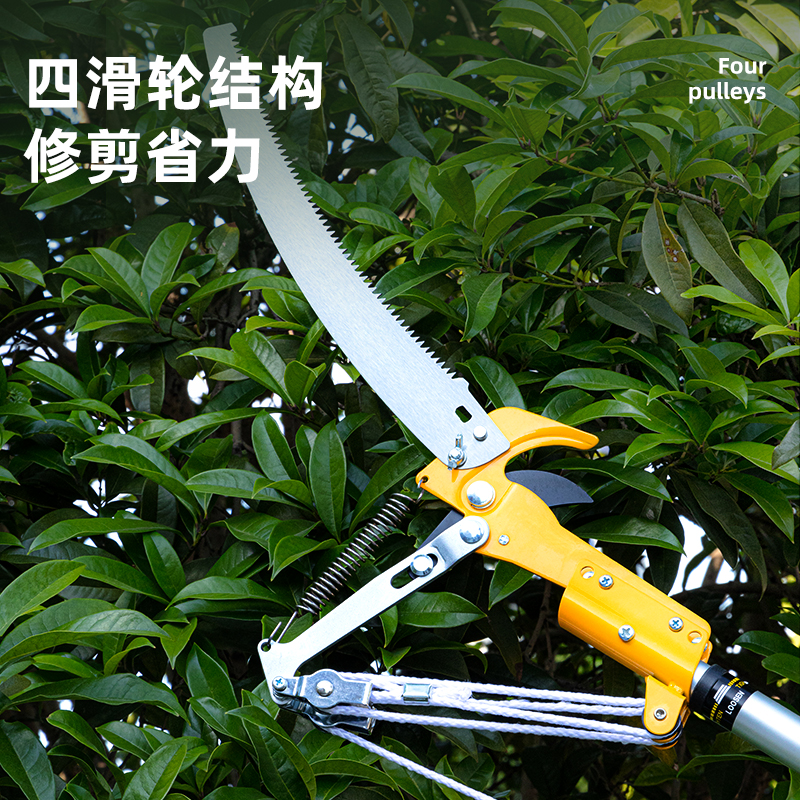 Tree Pruners 280cm from China manufacturer Deli Tools